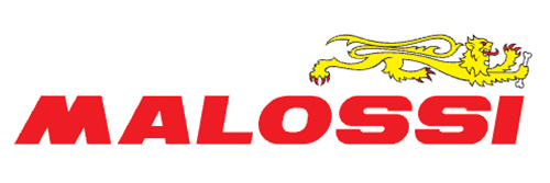Malossi